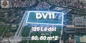 Phân Khu DV11 Tây Tựu