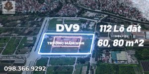 Phân Khu DV9 Tây Tựu
