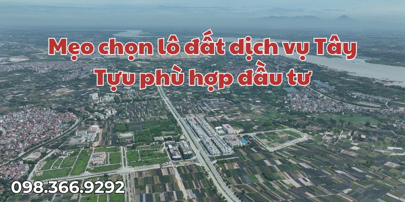 Mẹo Chọn Lô Đất Dịch Vụ Tây Tựu Phù Hợp Đầu Tư