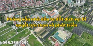 Phỏng vấn nhà đầu tư đất dịch vụ: Bí quyết lựa chọn và phát triển